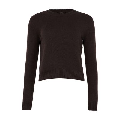 Lisa Yang Mable Cashmere Crew Neck Sweater In Brown