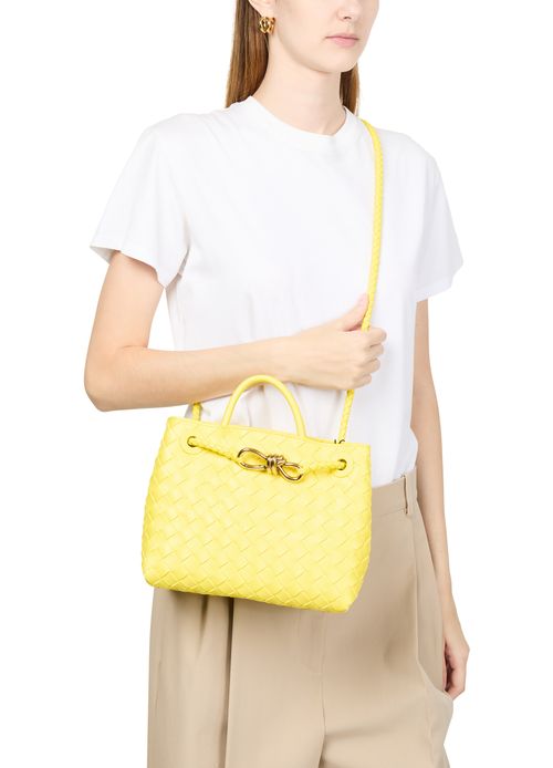 BOTTEGA VENETA Andiamo small bag