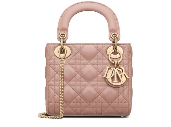 Mini bags dior hotsell