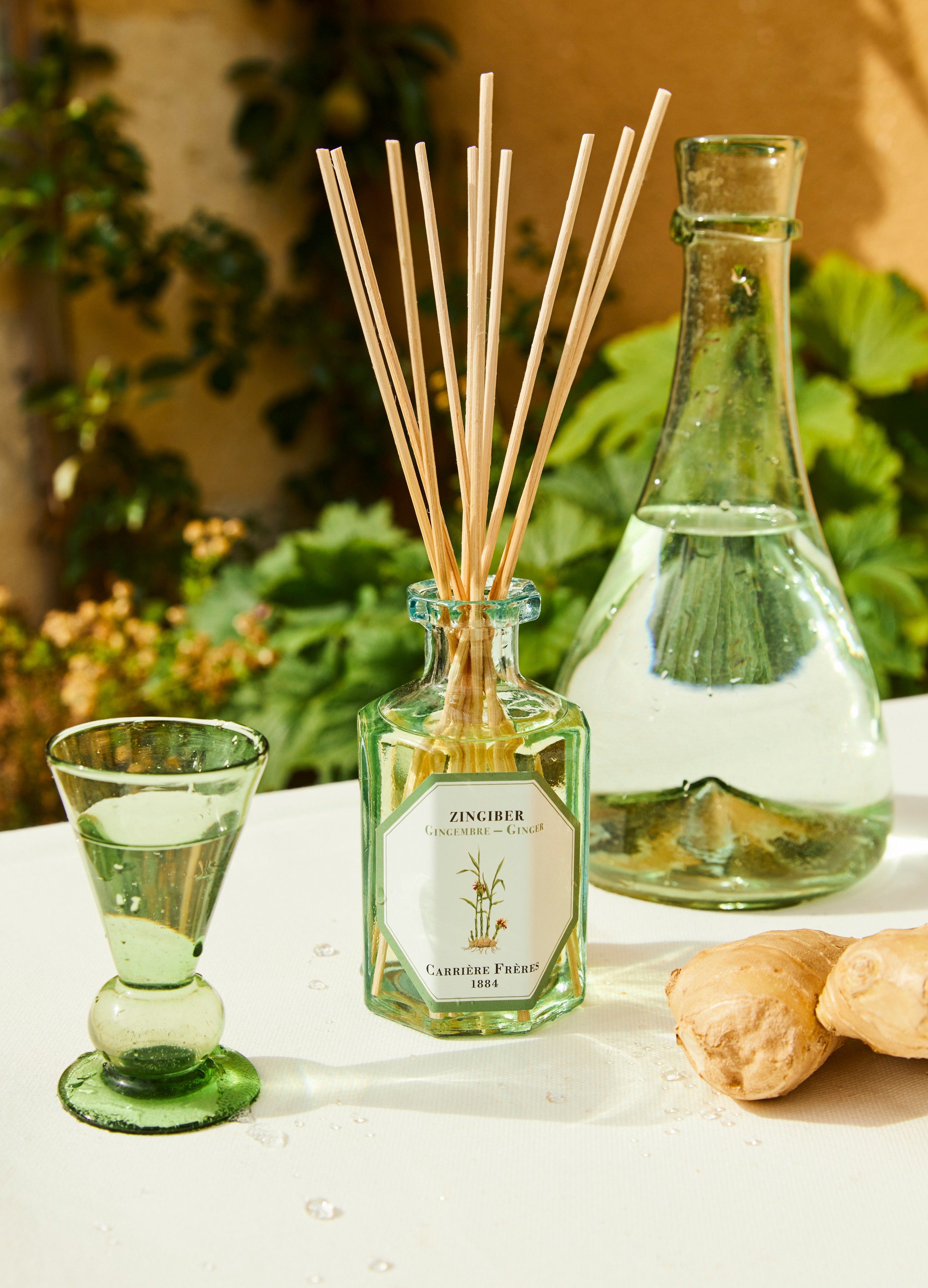 Fragrance diffuser Ginger - Zingiber 200 ml thumbnail 3
