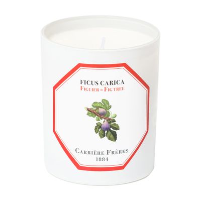 Shop Carriere Freres Scented Candle Fig Tree - Ficus Carica 185 G