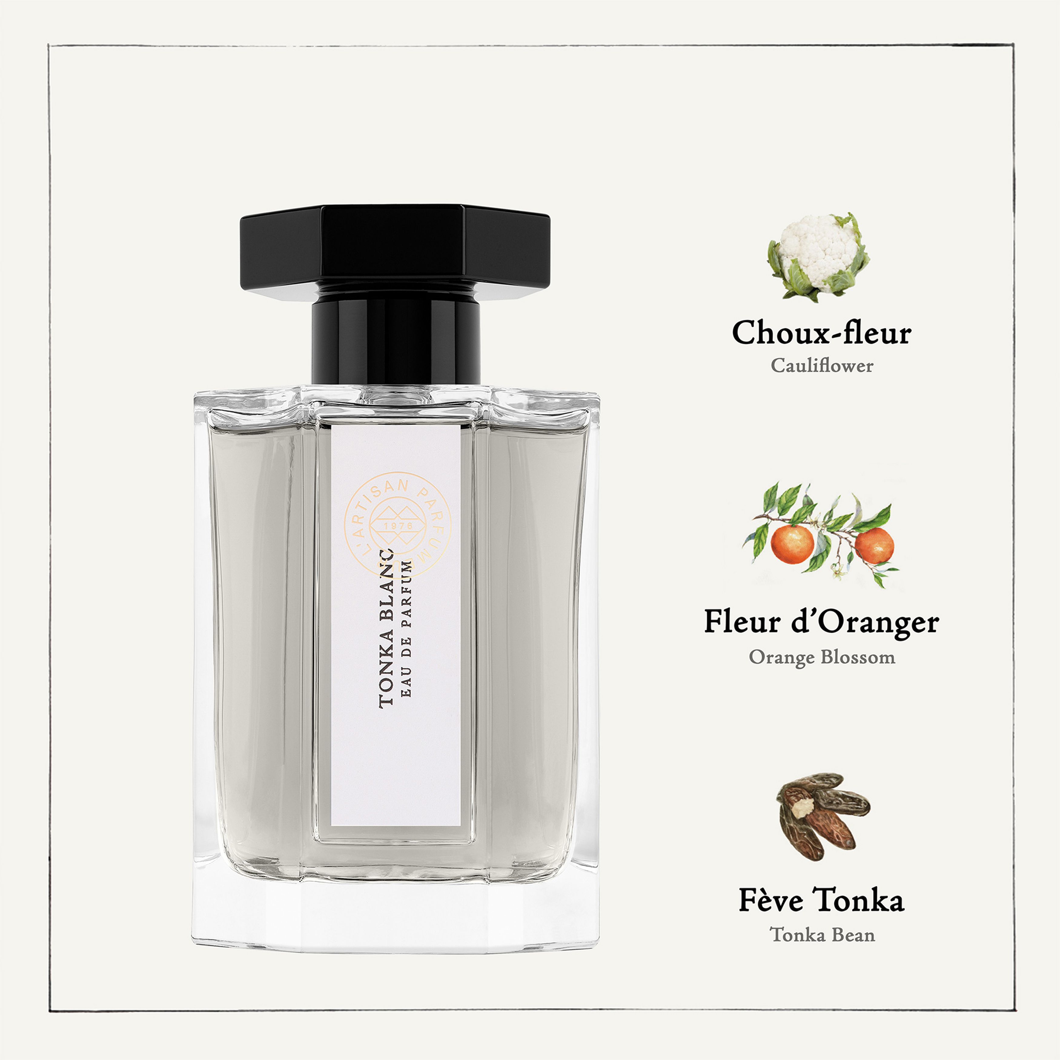 Tonka Blanc eau de cologne 100 ml thumbnail 5