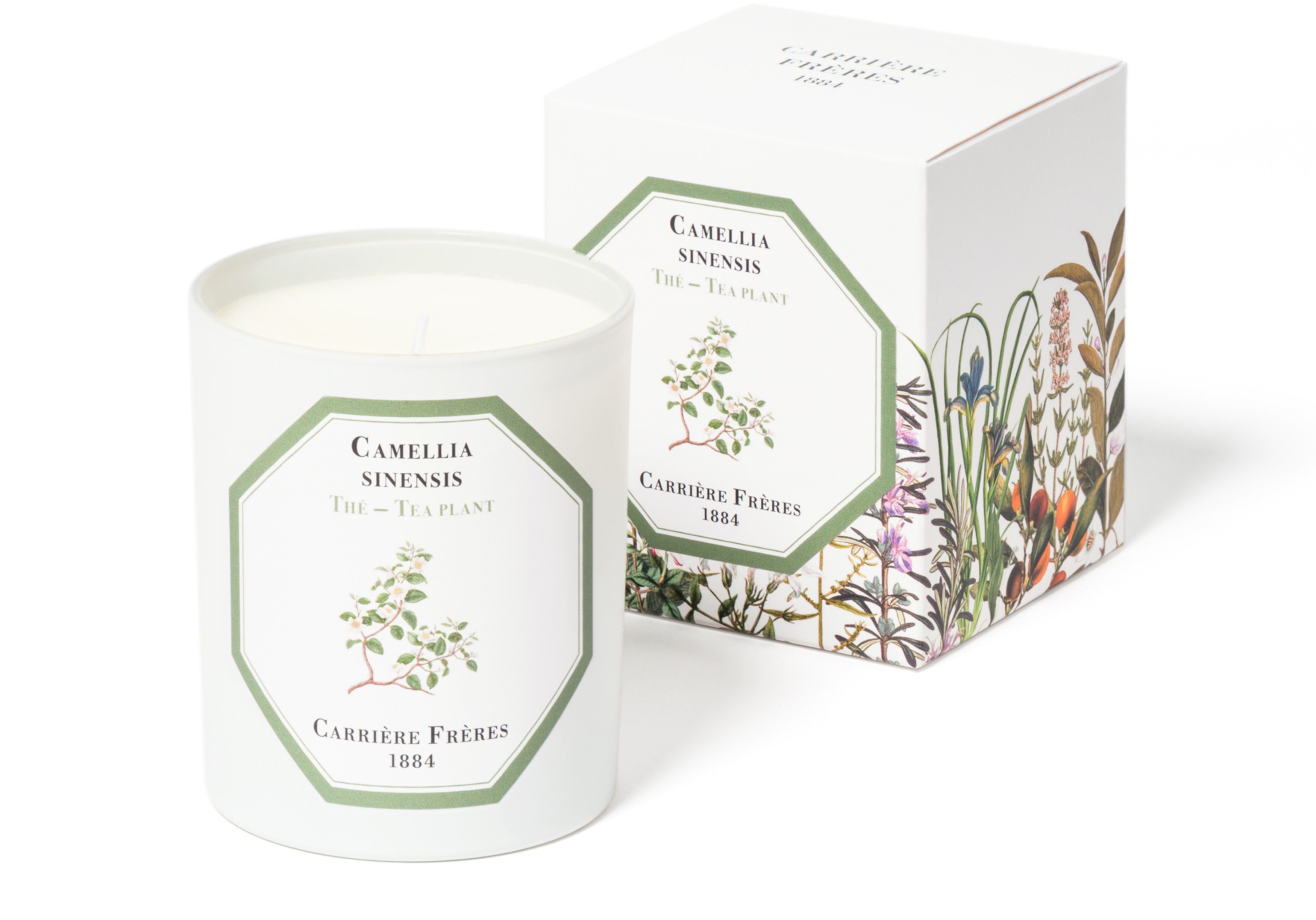 Scented Candle Tea Plant - Camellia Sinensis 185 g thumbnail 4