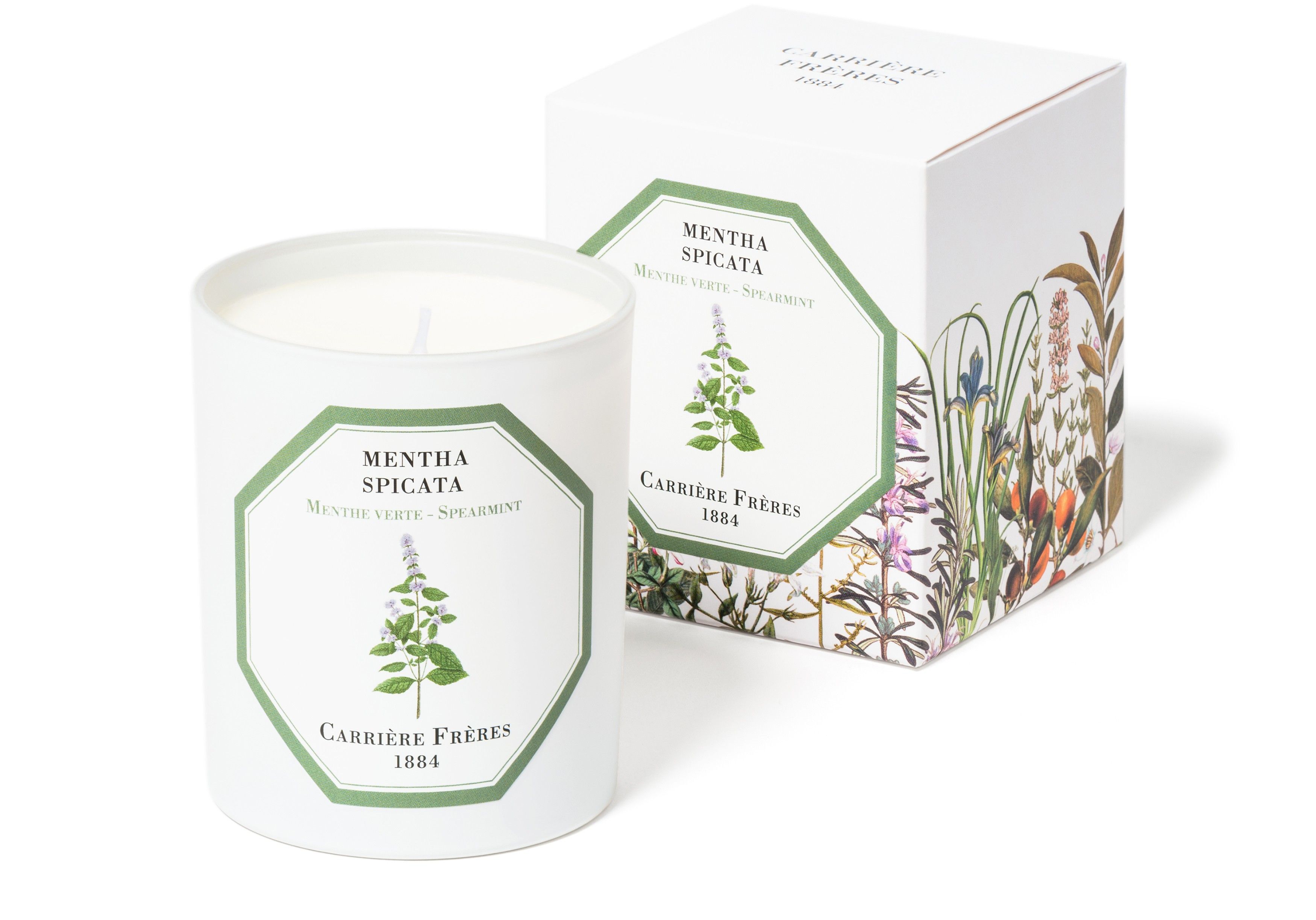 Scented Candle Spearmint - Mentha Spicata 185 g thumbnail 5