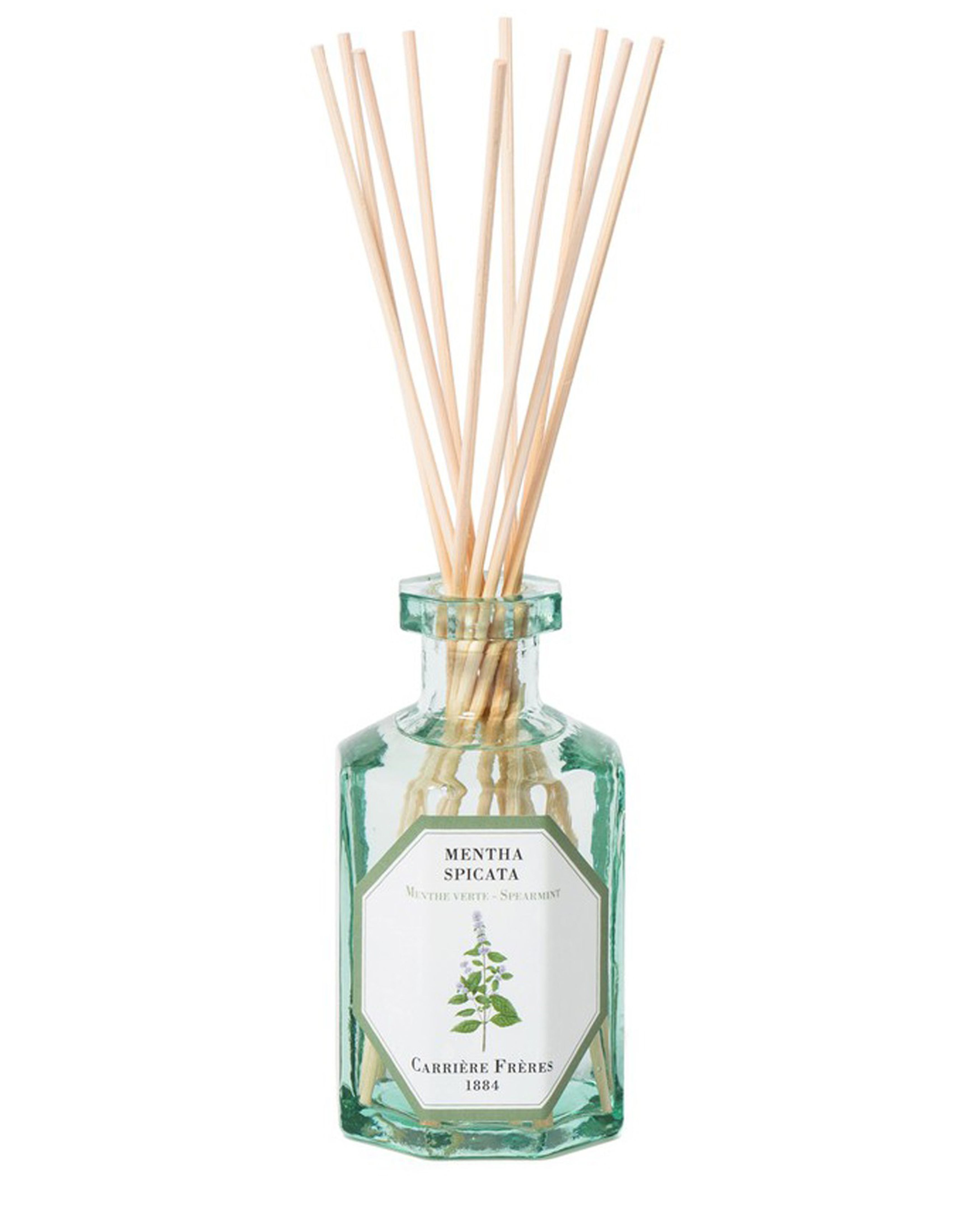 Fragrance diffuser Spearmint - Mentha Spicata 200 ml