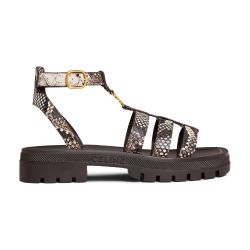 Women's Clea Triomphe gladiator in python stamped goatskin
