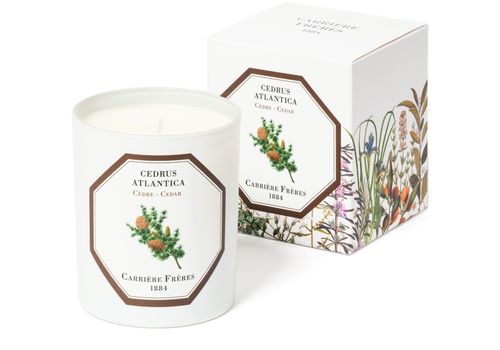CARRIERE FRERES Scented Candle Cedar - Cedrus Atlantica 185 g