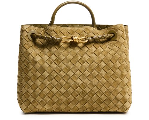 BOTTEGA VENETA Andiamo 中号手提包