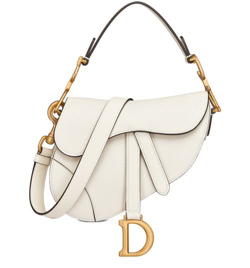 DIOR Mini Saddle Bag