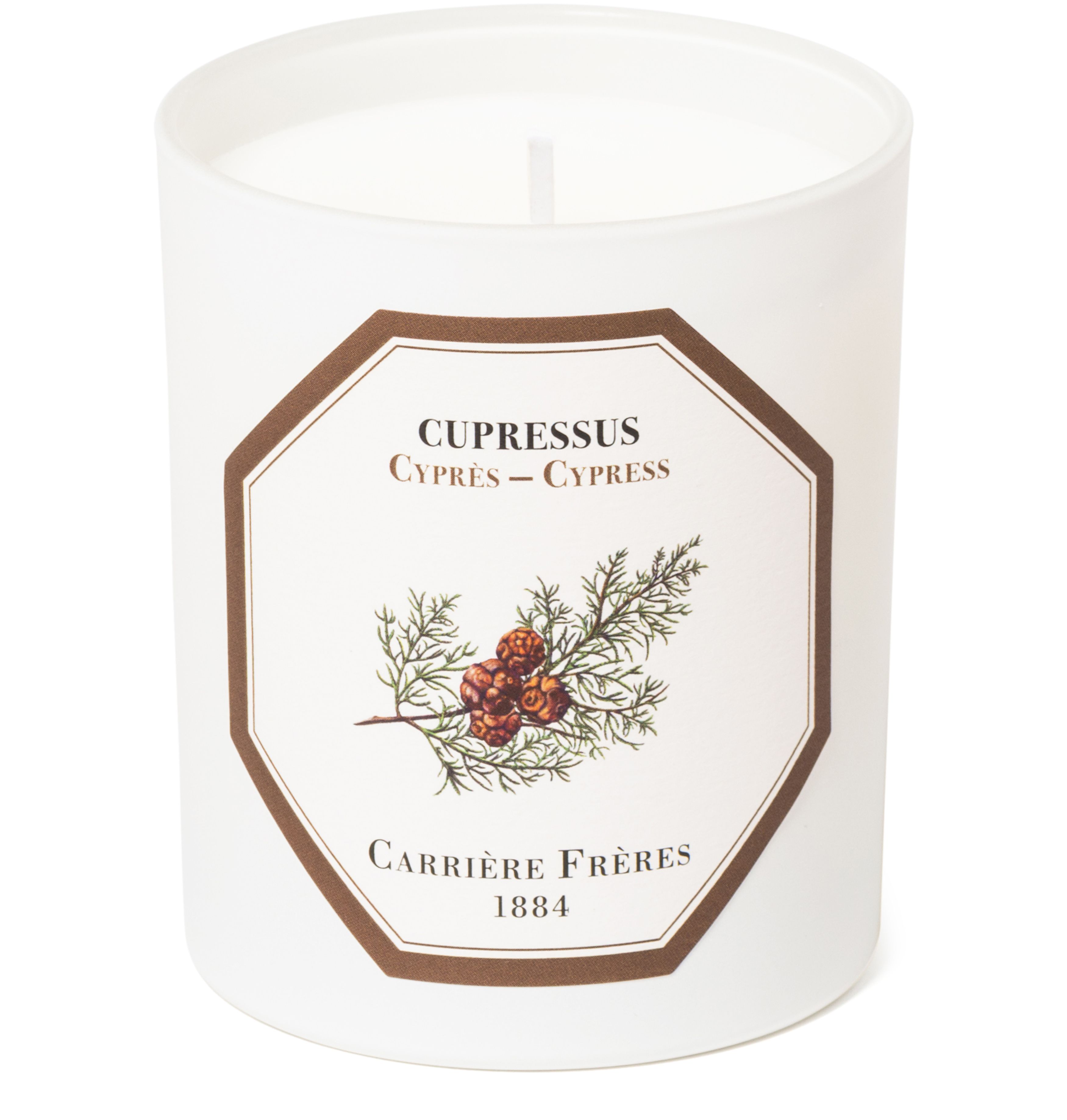 Scented Candle Cypress - Cupressus - 185 g