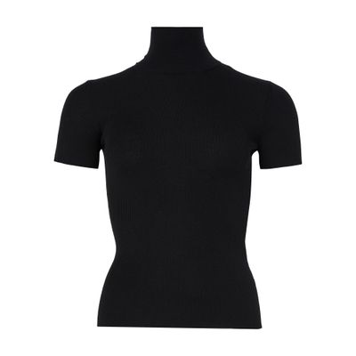 Max Mara Afa Turtle Neck Sweater In Black