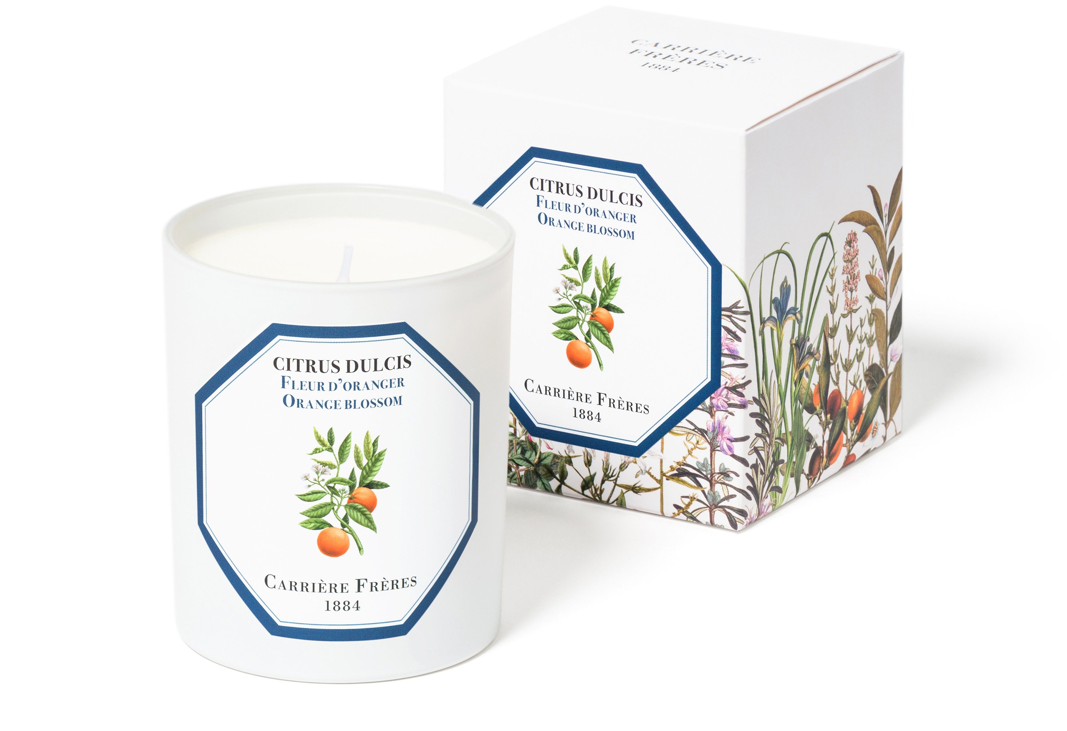 Scented Candle Orange Blossom - Citrus Dulcis 185 g thumbnail 5